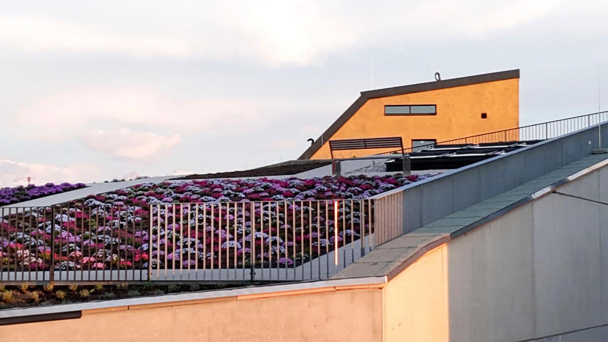 Hotel Im Zentrum Fuer Visionen Puch bei Hallein Exterior photo